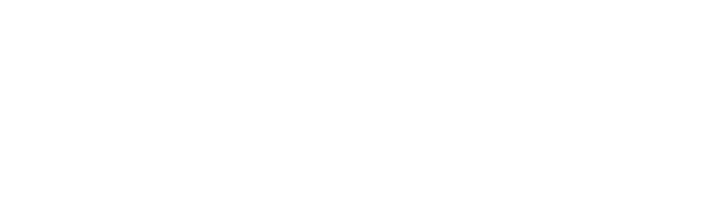 The Settlement Logo